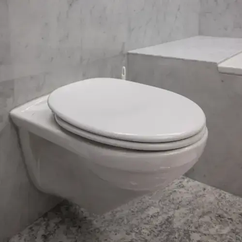 WC duguláselhárítás