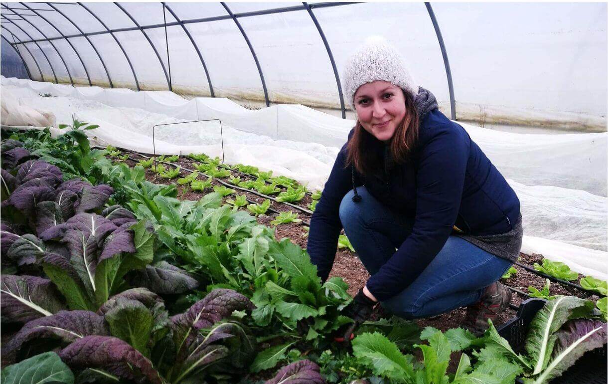 Drevenka Orsolya a SzandaSzögi Ökokertészetben