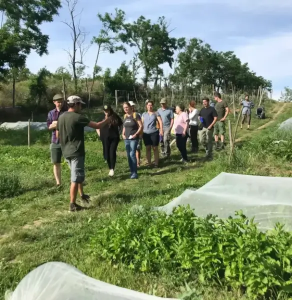Kertbejárás – látogatók a Pallagvölgyi Biokertben