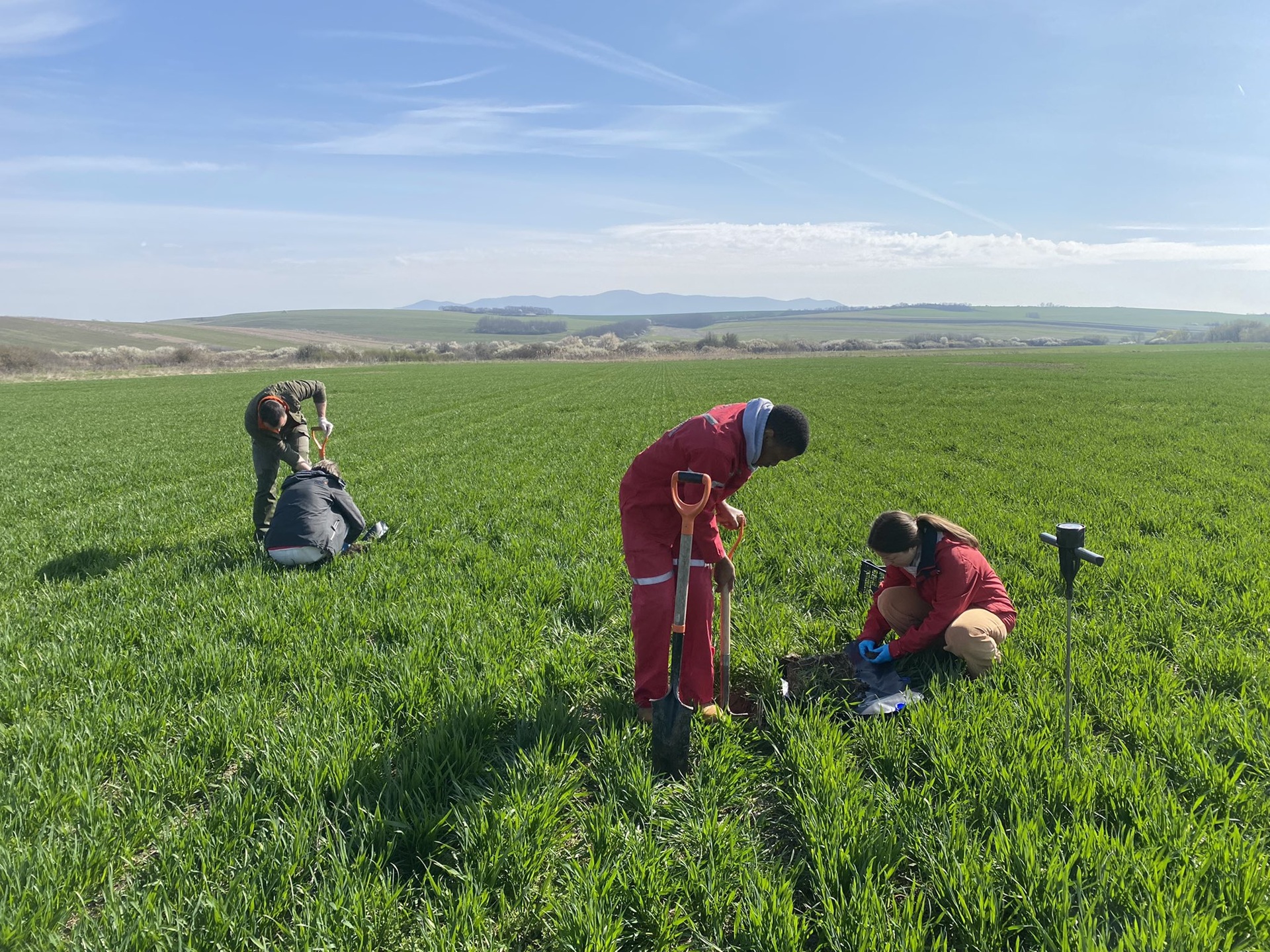 Team working in a lush green field