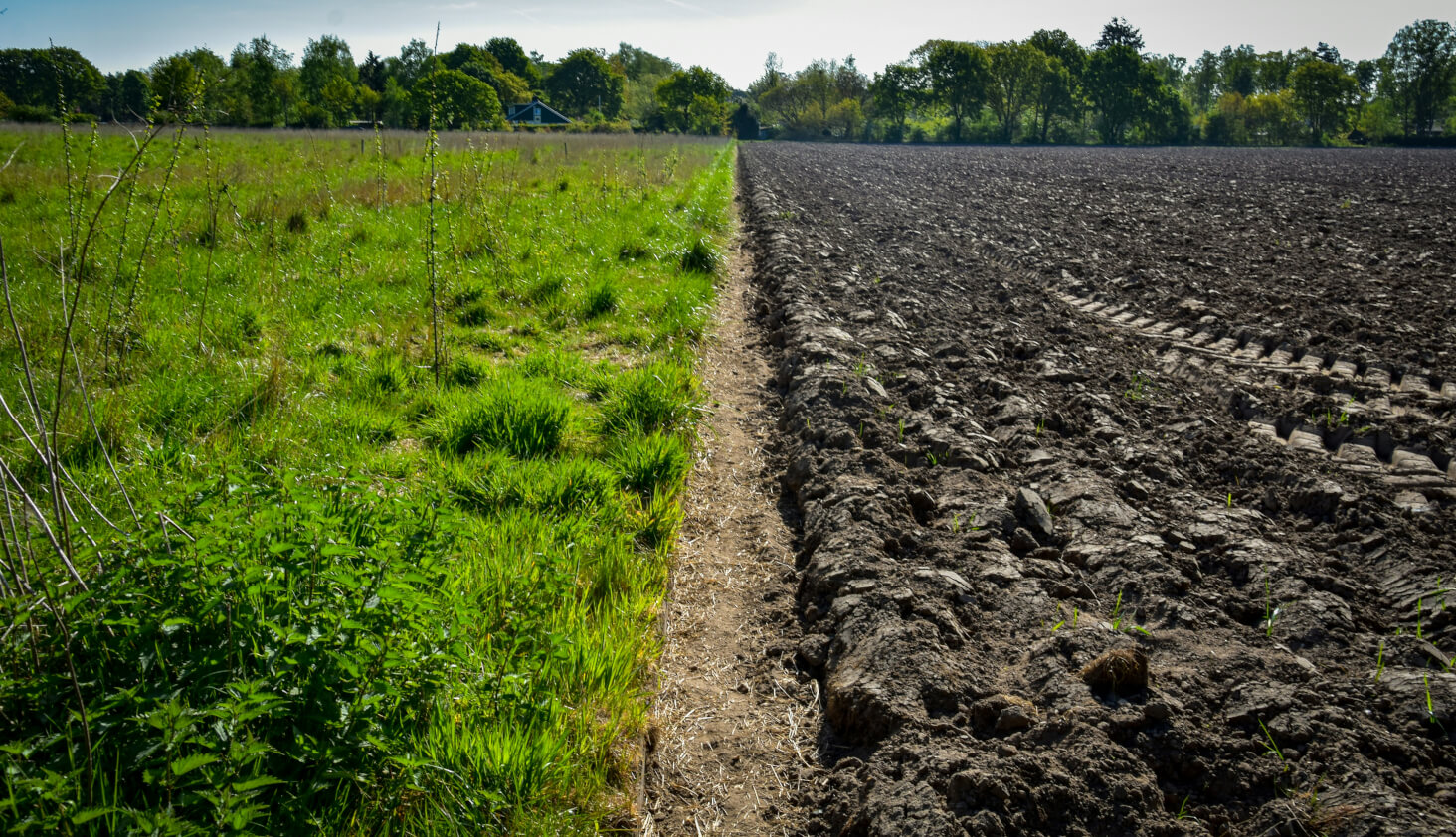 Regenerative Agriculture Field